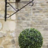 Topiary Ball - 40cm
