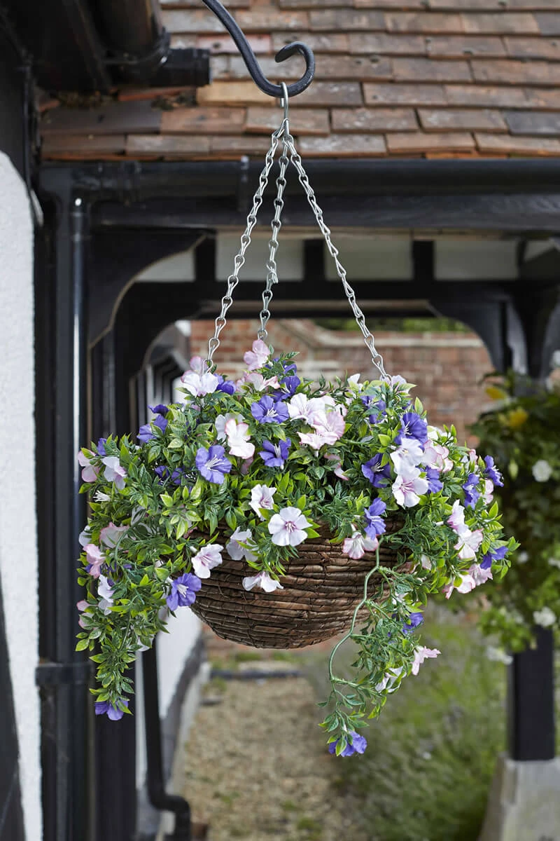Easy Basket - Petunias - Hanging Basket 3 Easy Basket - Petunias - Hanging Basket