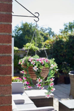 Easy Basket - Star Gazing Lilies - Hanging Basket