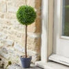 Uno Ball Topiary Tree - 40cm 1 Uno Ball Topiary Tree - 40cm -Green Garden World 5045085 giant