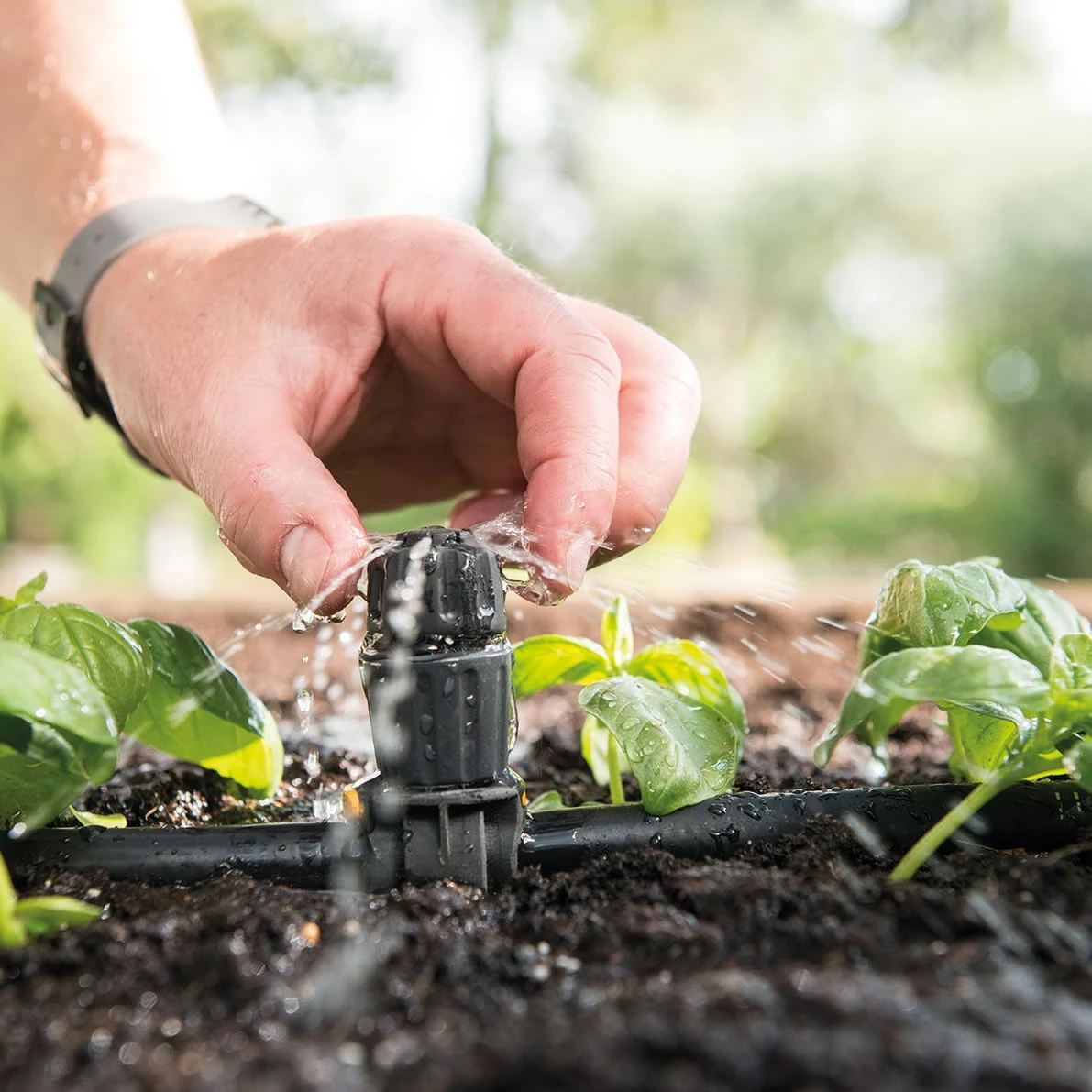 Hozelock Universal Adjustable Dripper - Pack Of 10 7 Hozelock Universal Adjustable Dripper - Pack Of 10 - Image 5