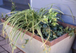 Kelkay Plant Avenue Urban Collection Irondale Trough In Silver -Green Garden World 90300 angle giant