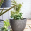 Kelkay Plant Avenue Urban Collection Large Elements Pot Gun Metal Grey 1 Kelkay Plant Avenue Urban Collection Large Elements Pot Gun Metal Grey -Green Garden World 90351GM giant