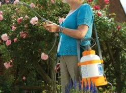 Hozelock 5L Pressure Sprayer Plus - 4705 5 Hozelock 5L Pressure Sprayer Plus - 4705 -Green Garden World Hozelock sprayer lifestyle