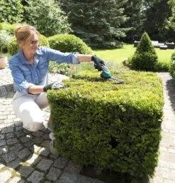 Bosch Isio III Shape And Edge Cordless Shears -Green Garden World Isio detail large 2