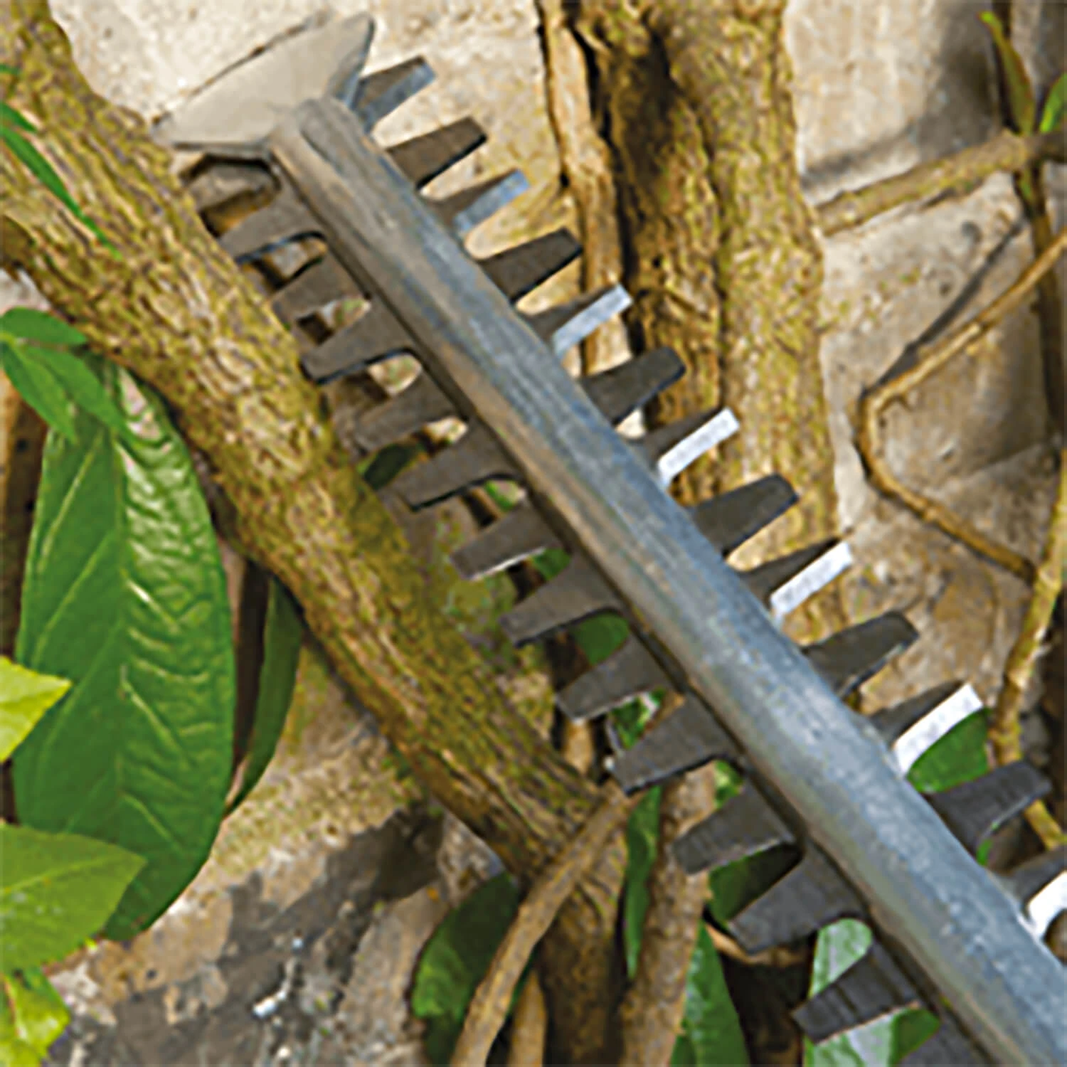 Bosch Advanced HedgeCut 70 Electric Hedge Trimmer 4 Bosch Advanced HedgeCut 70 Electric Hedge Trimmer - Image 2