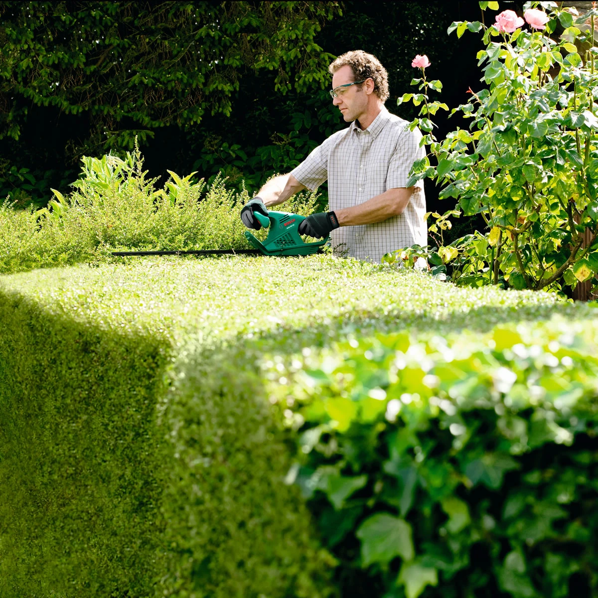 Bosch Electric Hedge Trimmer - AHS 45-16 4 Bosch Electric Hedge Trimmer - AHS 45-16 - Image 2