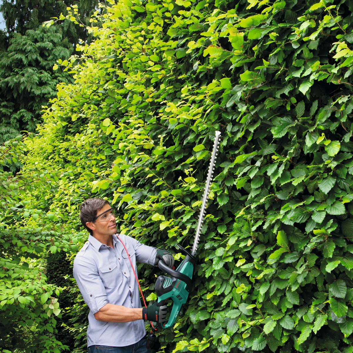 Bosch Electric Hedge Trimmer - AHS 70-34 - With Accessories 4 Bosch Electric Hedge Trimmer - AHS 70-34 - With Accessories - Image 2