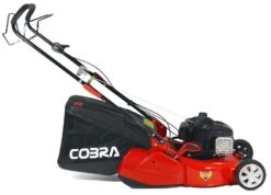 Cobra 46cm SP Petrol Mower, Rear Roller, Briggs And Stratton Engine -Green Garden World cobra RM46SPB side giant