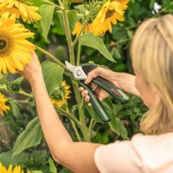 Bosch EasyPrune Electric Secateurs 10 Bosch EasyPrune Electric Secateurs -Green Garden World easy prune lifestyle