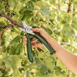 Bosch EasyPrune Electric Secateurs 11 Bosch EasyPrune Electric Secateurs -Green Garden World easyprune life