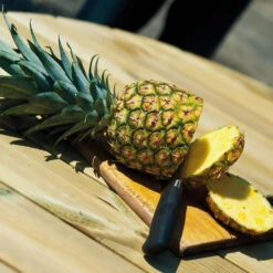 Pine FSC Gleneagles 8 Seater Picnic Table By Alexander Rose -Green Garden World gleneagles detail large