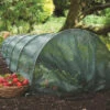 Haxnicks Easy Tunnel -Green Garden World haxnicks easy net tunnel giant