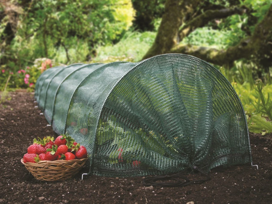 Haxnicks Easy Tunnel 3 Haxnicks Easy Tunnel