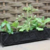 Haxnicks Vigoroot Long Planter 2 Haxnicks Vigoroot Long Planter -Green Garden World haxnicks vigoroot long planter giant