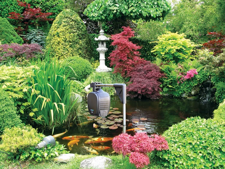 Hozelock Automatic Fish Food Feeder 3 Hozelock Automatic Fish Food Feeder