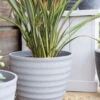 Kelkay Plant Avenue Stone Collection Large Hudson Pot In Grey -Green Garden World hudson grey giant