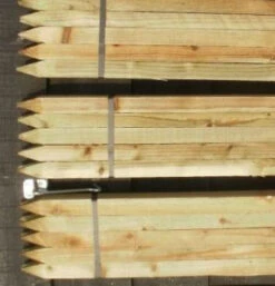 Rainbow Tree Defenders With Stakes - 150cm Tall - X10 7 Rainbow Tree Defenders With Stakes - 150cm Tall - X10 -Green Garden World l 1.2 squares