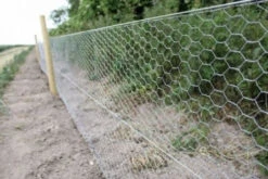 25m Long, 90cm Tall Roll Of Galvanised Chicken Wire Mesh - 50mm Mesh Size 8 25m Long, 90cm Tall Roll Of Galvanised Chicken Wire Mesh - 50mm Mesh Size -Green Garden World l 3aa0298e4625e3393fbdc8d429fe9bbd.image .500x333