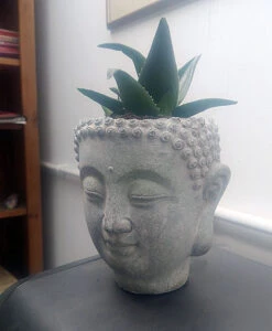 Buddha Head Planter - Stone Effect 13 Buddha Head Planter - Stone Effect -Green Garden World l 613PzklPbFS. AC SL1000