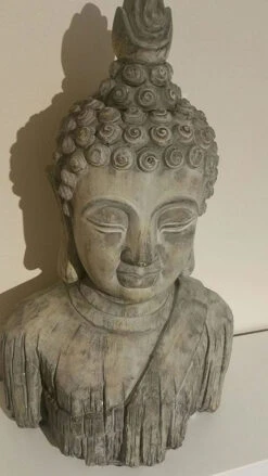 Buddha Head - Reinforced Concrete -Green Garden World l 71KiJYpPaLL. AC SL1500