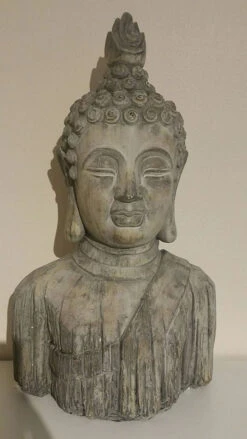 Buddha Head - Reinforced Concrete -Green Garden World l 71LypsdAJOL. AC SL1500