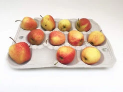 Nutley's 12 Hole Biodegradable Apple Trays -Green Garden World l 81sauHxqv0L. SL1500 1024x1024@2x