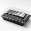 Nutleys 60 Cell Full Size Seed Propagator Set - Tray: With Holes 1 Nutleys 60 Cell Full Size Seed Propagator Set - Tray: With Holes -Green Garden World l B0081S55US.MAIN 65d07dd7 77fa 48b5 b415 59743b82d6f6 1024x1024@2x 2