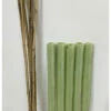 Biodegradable Spiral Tree Guards With Canes - 60cm X 38mm 2 Biodegradable Spiral Tree Guards With Canes - 60cm X 38mm -Green Garden World l Bio Spiral with Canes