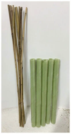 Biodegradable Spiral Tree Guards With Canes - 60cm X 38mm
