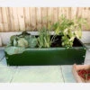 (Pack Of 2) Everlasting Green Raised Beds 100cm Long X 100cm Wide -Green Garden World l ERB1 4