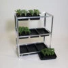Economy Seed Tray Rack -Green Garden World l ESTR3ST1
