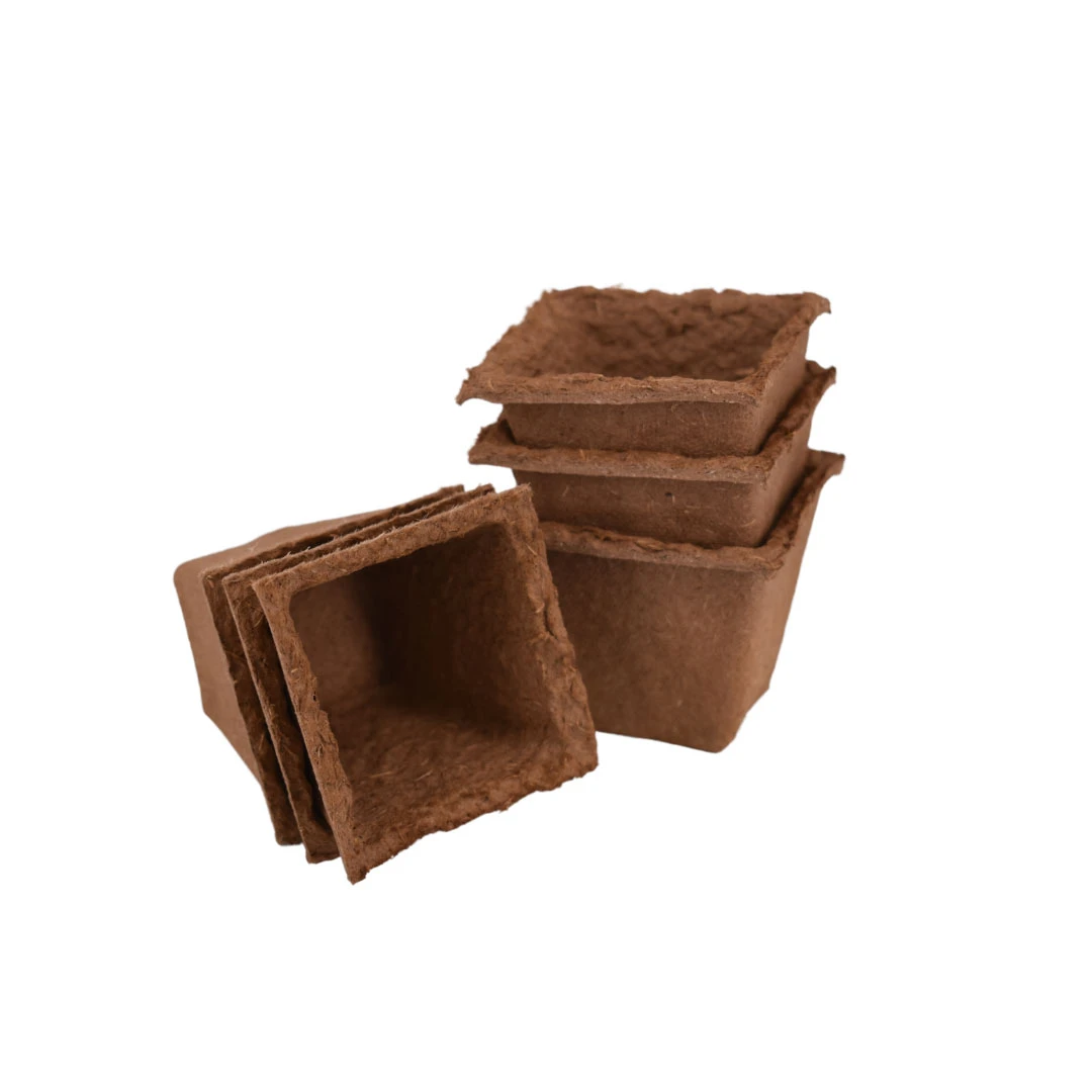 Nutley's 6cm Square Biodegradable Organic Wood Fibre Plantable Plant Pots 4 Nutley's 6cm Square Biodegradable Organic Wood Fibre Plantable Plant Pots - Image 2