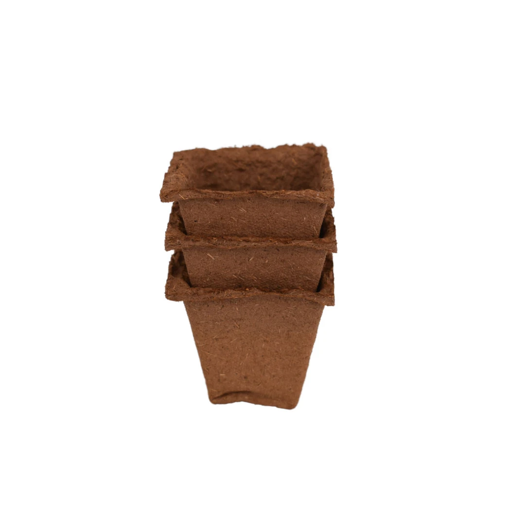 Nutley's 6cm Square Biodegradable Organic Wood Fibre Plantable Plant Pots 6 Nutley's 6cm Square Biodegradable Organic Wood Fibre Plantable Plant Pots - Image 4