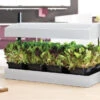 Garland Grow Light Garden Propagator -Green Garden World l GAL612