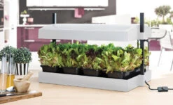 Garland Grow Light Garden Propagator