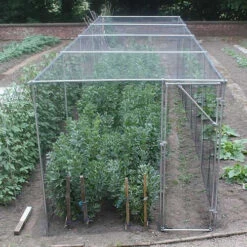 Heavy Duty Fruit Cage 213cm X 488cm X 1463cm With Bird Netting
