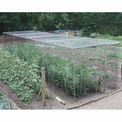 Heavy Duty Fruit Cage 213cm X 488cm X 1707cm With Butterfly Netting
