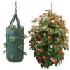 Nutley's Hanging Tomato Planter Pouch