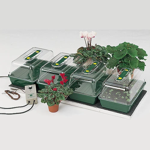 Quadruple Plant Propagator 3 Quadruple Plant Propagator