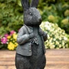 44cm Peter Rabbit Superb Sculpture Garden Ornament Solid Resin Beatrix Potter -Green Garden World l Peter Rabbit 1