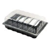 Nutley's 40 Cell Full Size Seed Propagator Set - Tray: Without Holes -Green Garden World l Photo18 02 2016 134231 1024x1024@2x