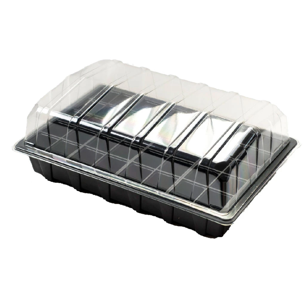 Nutley's 40 Cell Full Size Seed Propagator Set - Tray: Without Holes 3 Nutley's 40 Cell Full Size Seed Propagator Set - Tray: Without Holes