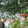 Easy Basket - Blossom - Hanging Basket -Green Garden World l easybasket blossom 2