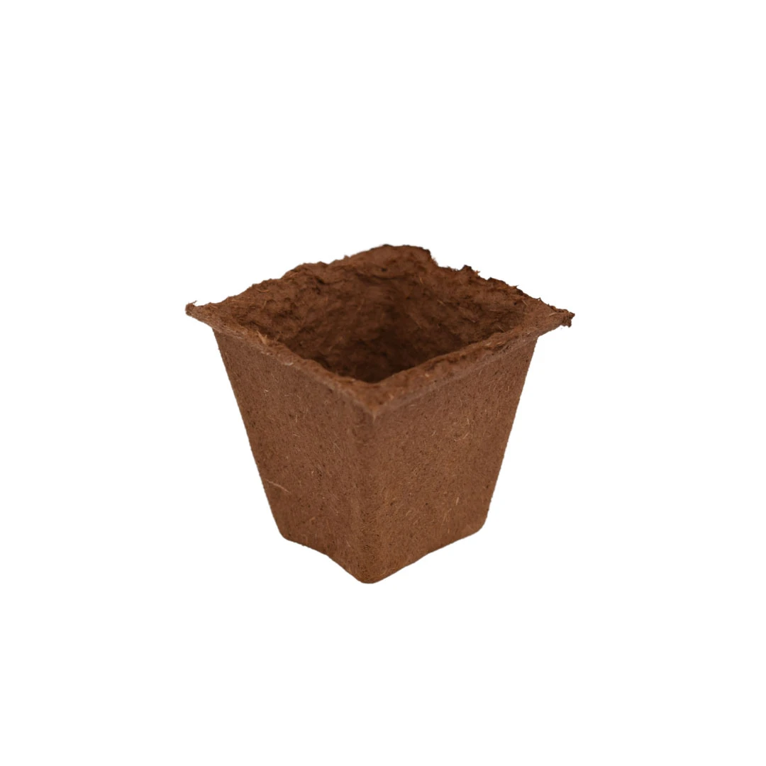 Nutley's 6cm Square Biodegradable Organic Wood Fibre Plantable Plant Pots 3 Nutley's 6cm Square Biodegradable Organic Wood Fibre Plantable Plant Pots