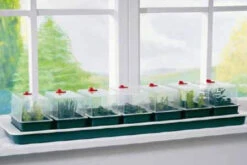 Garland Super 7 Self-Watering Windowsill Seed Propagator
