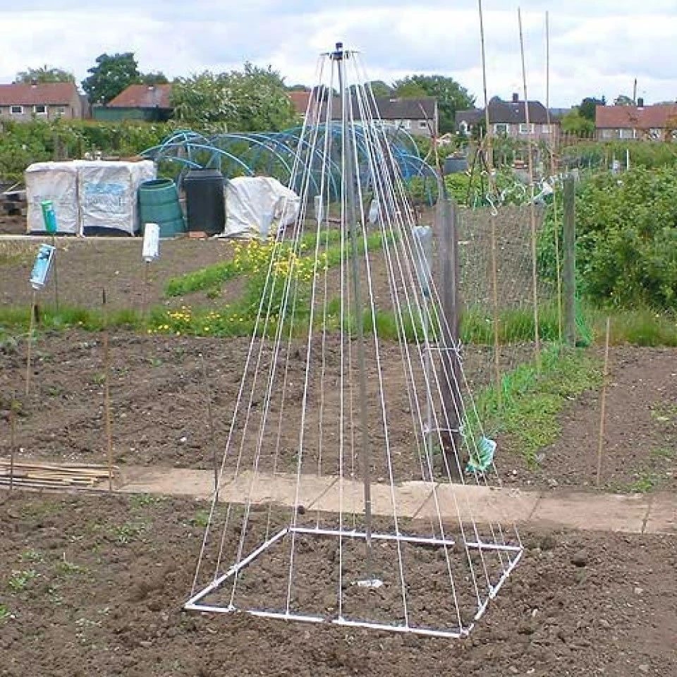 Growing Pole 3 Growing Pole