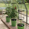 Garland Self Watering Grow Pot Tower - Pack Of 3 -Green Garden World l gswgpt1 10 721x1000