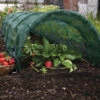 5 Haxnicks Easy Net Grow Tunnels -Green Garden World l hax09en 1 1