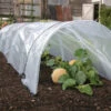Haxnicks Giant Easy Polytunnel Cloche -Green Garden World l hax13gp 1